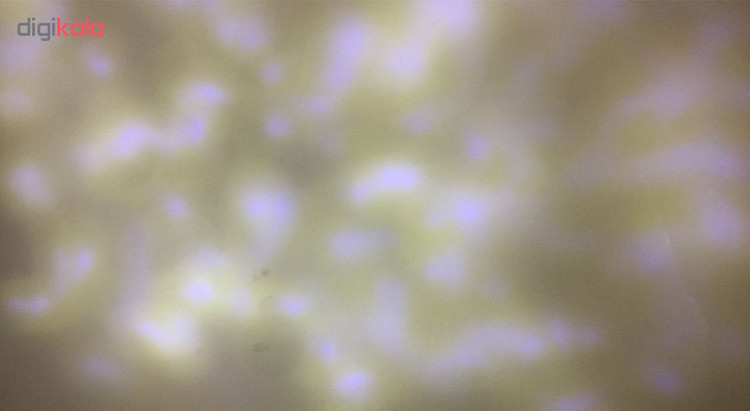 چراغ ال ای دی 3 وات اف اس پی مدل کریستالی بسته دو عددی