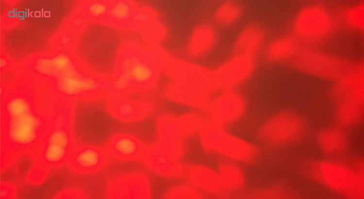 چراغ ال ای دی 3 وات اف اس پی مدل کریستالی بسته دو عددی