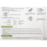 پروژکتور ال ای دی خورشیدی اسنکو مدل ES11600W ظرفیت 600 وات